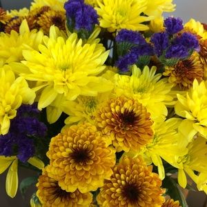 Meet your Posher, Stacey